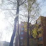 Saulys1