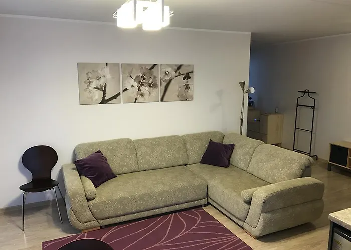 Saulys1 Apartament Druskieniki